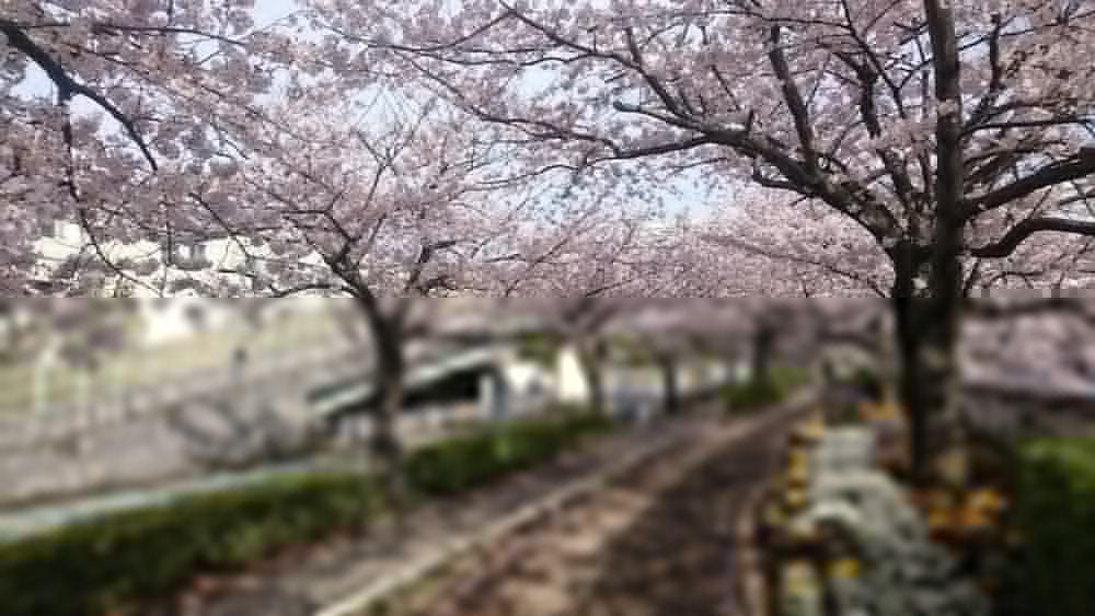 Henn Na Hotel Maihama Tokyo Bay Urayasu Ngoại thất bức ảnh